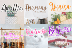 The Raflesia Arnoldy Font