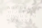 The Rivers - Modern Sans Font