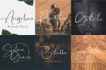 The Rochester Beatiful Signature