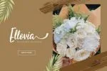 The Rynellia Font