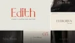 The Sans & Serif Font Bundle Font