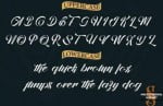The Shark Font