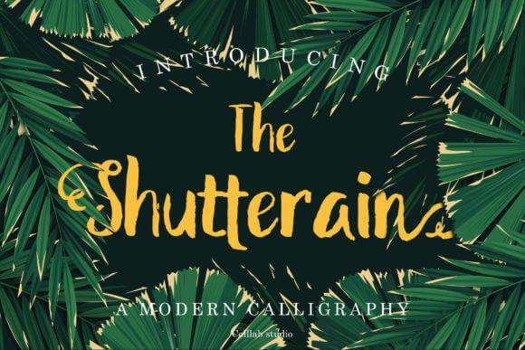 The Shutterain