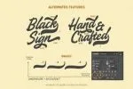 The Sign Paintoh - Bold Script Font