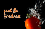 The Tomato Font