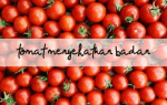 The Tomato Font