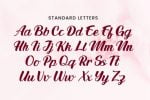 The Venda Font