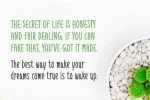 The Way Of Life Font