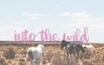 The Willow Script
