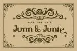 TheLink Font