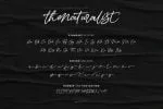 Thenaturalist Caligraphy Wedding Font