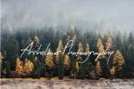 Theodore Handwritten