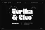 Thick Thinks - Bold & Modern Display Font