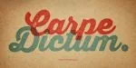 Thirsty Rough Font