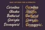Thirtylane Font