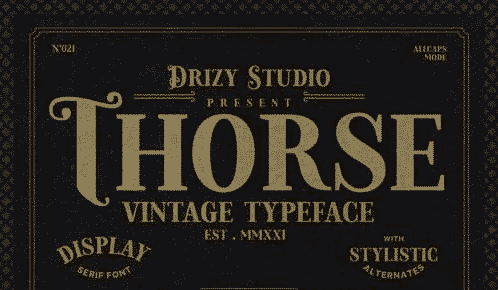 Thorse Font