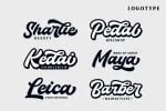 Thunder Script