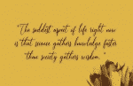 Tiffanka - Script Feminine Font
