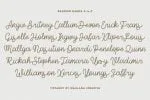 Tiffanky Monoline Cursive Font
