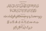 Tiffanky Monoline Cursive Font