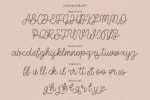 Tiffanky Monoline Cursive Font
