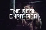 Tigerious - Modern Sport Font DR