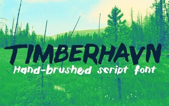 Timberhavn Thick Brush Font Timberhavn Thick Brush Font