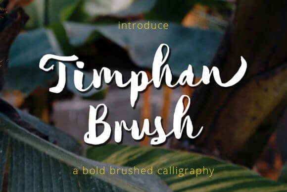 Timphan Font