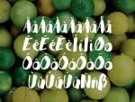 Tindra Font