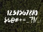 Tindra Font