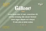 Tingle - Modern Classy Font