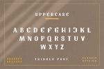 Tingle Modern Classy Font