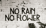 Tiny Queen Font