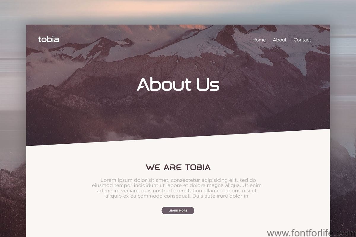 Tobia | Modern Sans-Serif Font