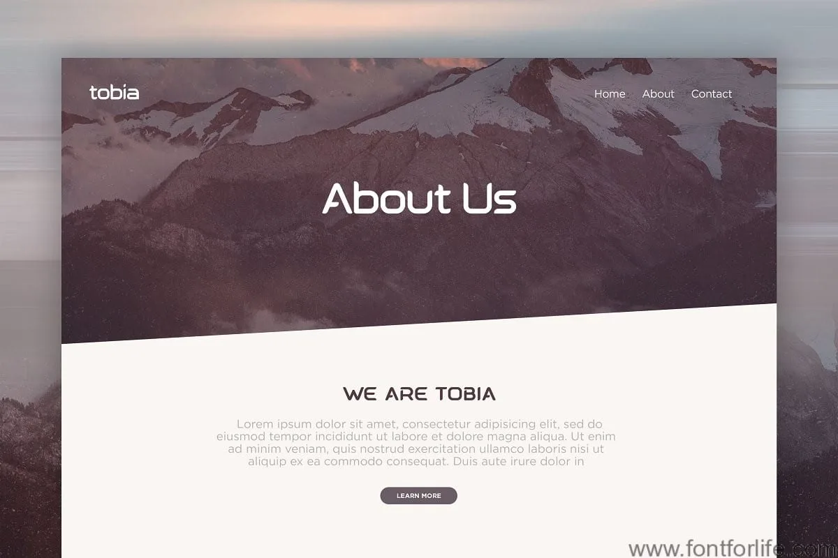 Tobia | Modern Sans-Serif Font