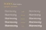 Todes Font