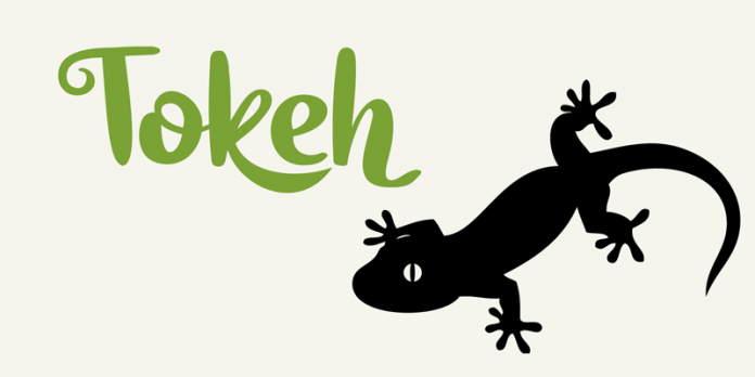 Tokeh Font Family