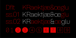 Tomato Grotesk Font Family