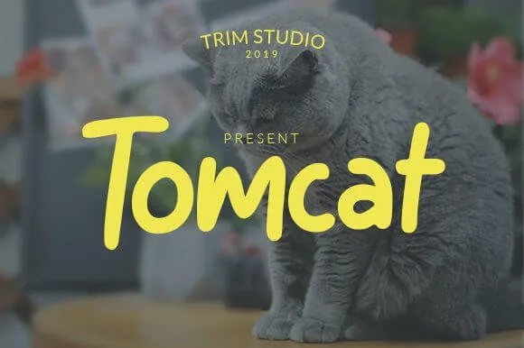 Tomcat Font