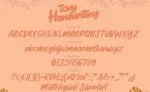 Tony Handwritting - Font