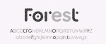 Torus Pro Font Family