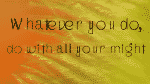 Traino Display Font