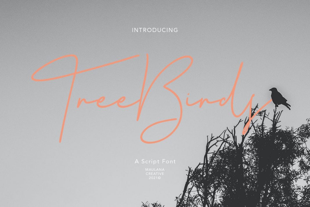Treebirds Script Font