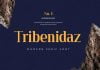 Tribenidaz Serif Display Font