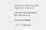 Tribenidaz Serif Display Font
