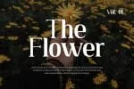 Tribenidaz Serif Display Font