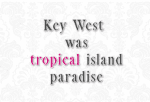 Tropical Font