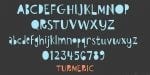 Turmeric Font