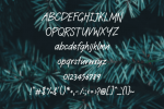 Twelve Month Font