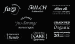 Typetogether Laima Font Family